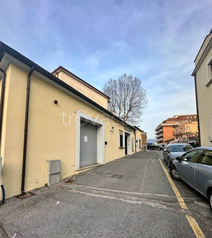 negozio in affitto a Palestrina