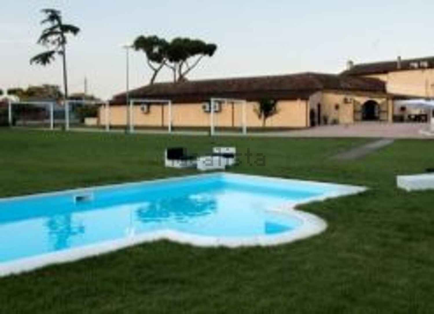 negozio in affitto a Palestrina