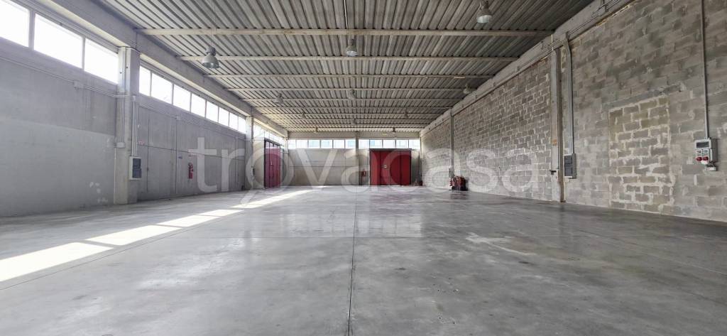 locale commerciale in affitto a Palestrina