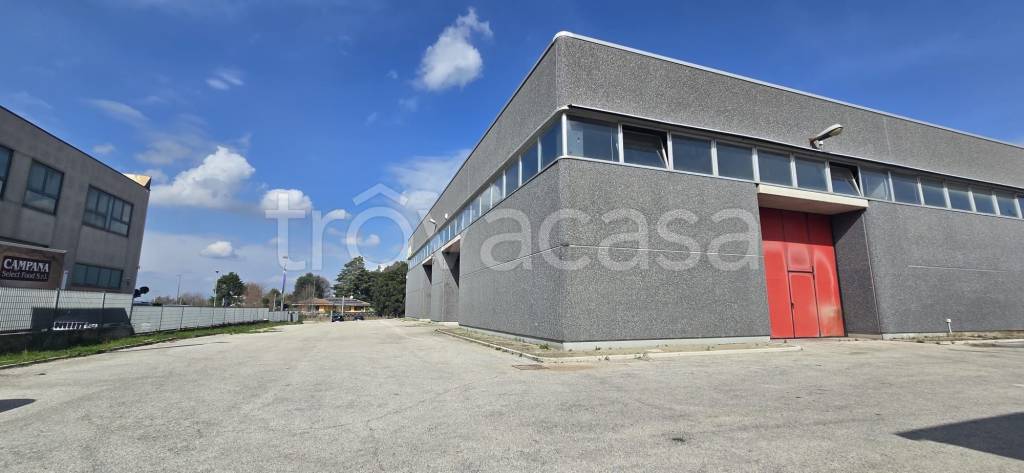 locale commerciale in affitto a Palestrina