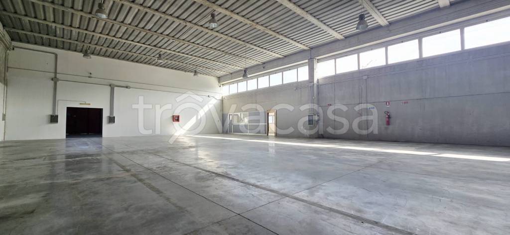 locale commerciale in affitto a Palestrina