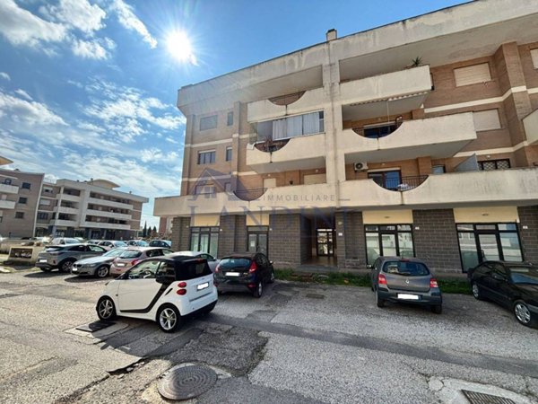 appartamento in affitto a Palestrina