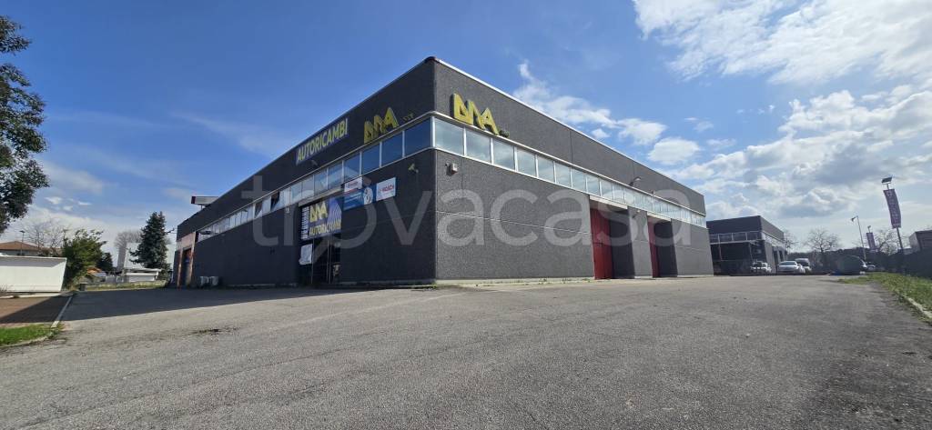 locale commerciale in affitto a Palestrina