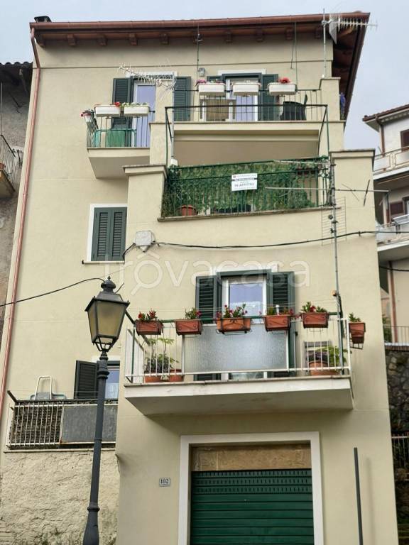 appartamento in affitto a Palestrina