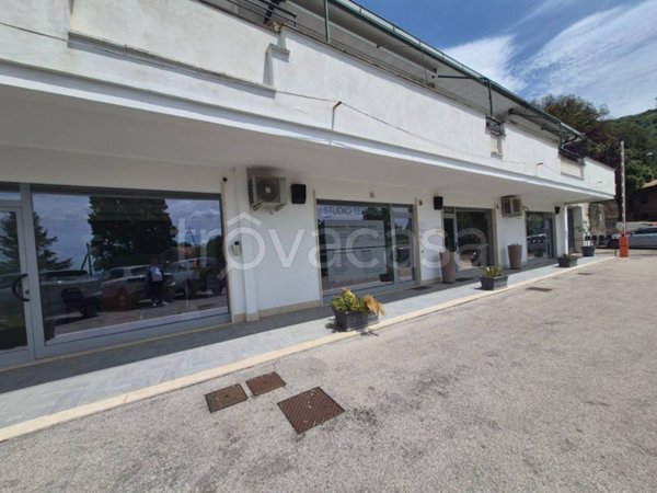 negozio in affitto a Palestrina