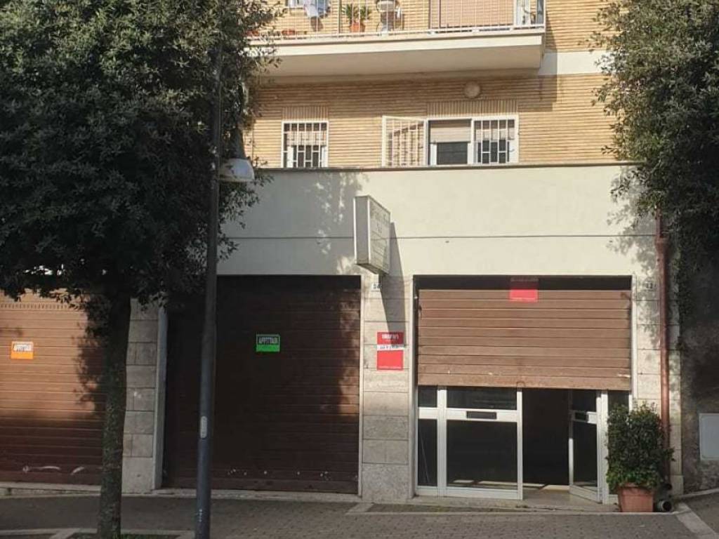 negozio in affitto a Palestrina
