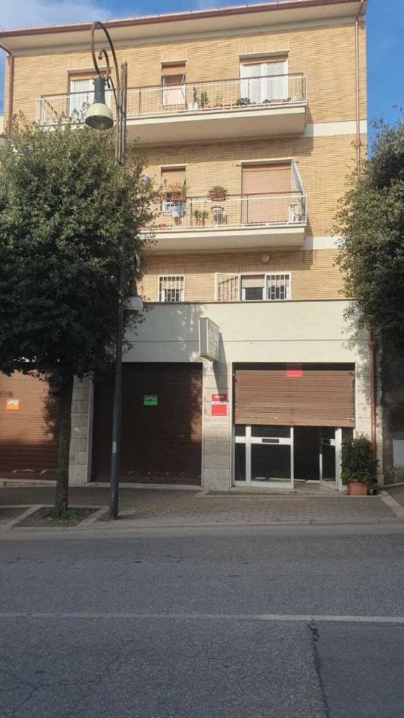negozio in affitto a Palestrina