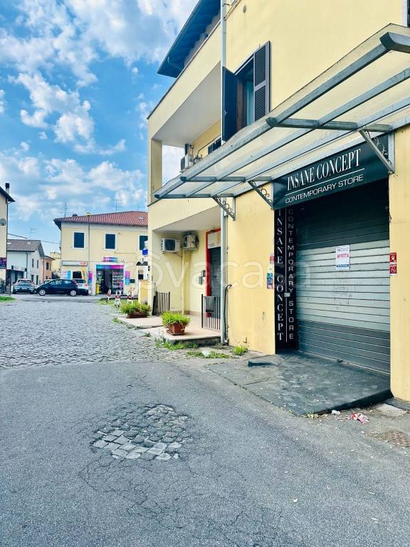 negozio in affitto a Palestrina