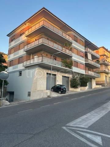appartamento in affitto a Palestrina
