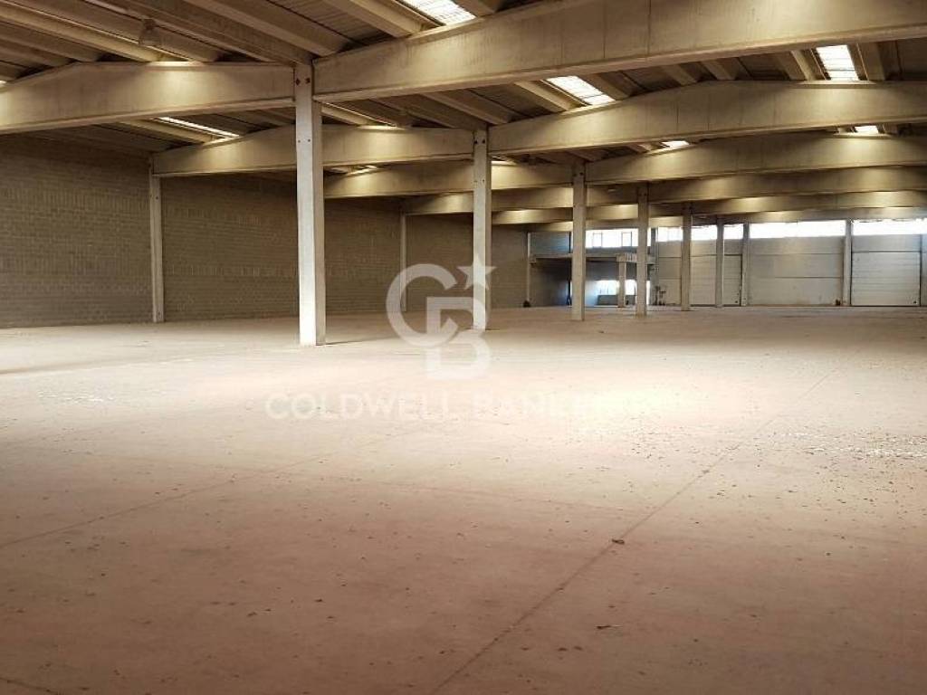 locale commerciale in affitto a Pomezia