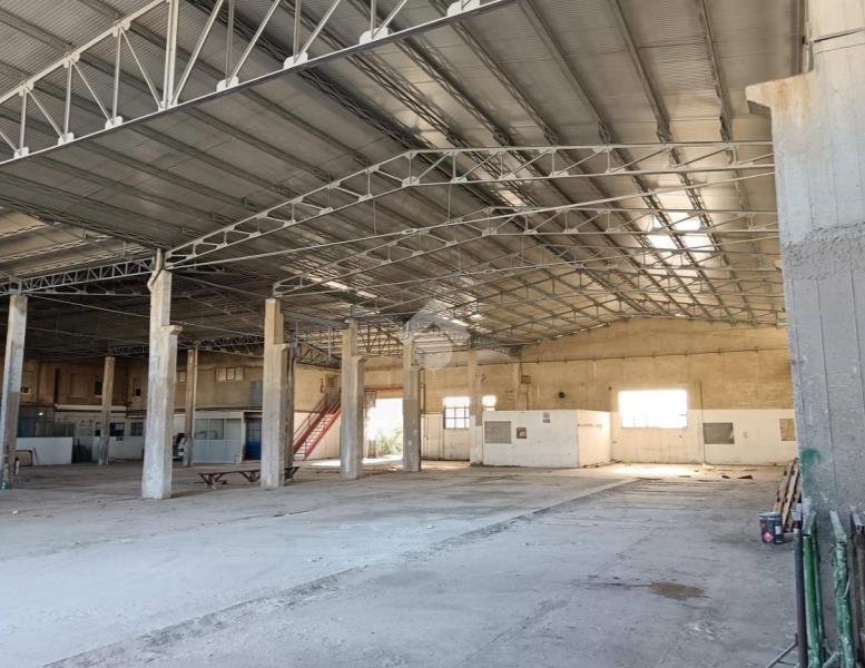 locale commerciale in affitto a Pomezia