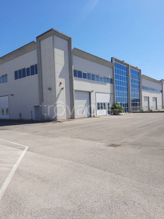 locale commerciale in affitto a Pomezia
