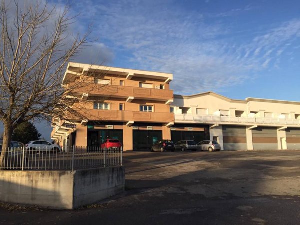 negozio in affitto a Pomezia in zona Santa Procula