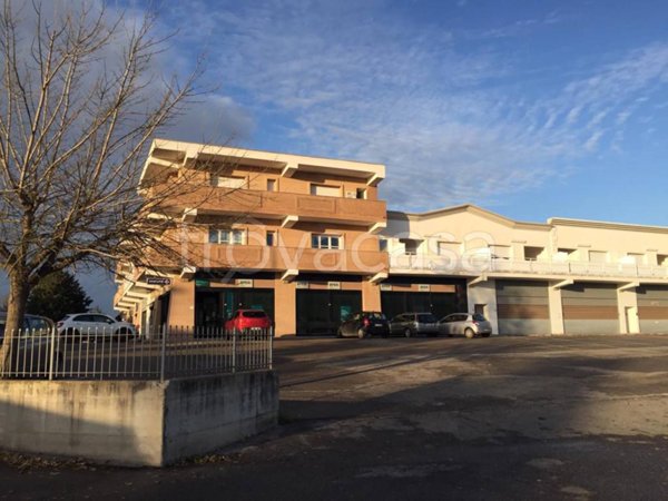 negozio in affitto a Pomezia