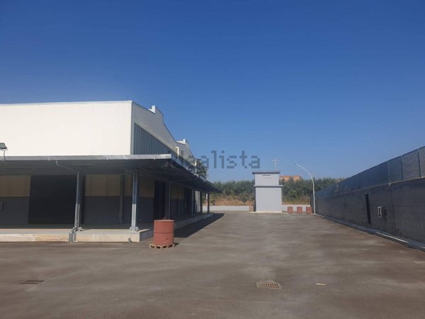 capannone in affitto a Pomezia