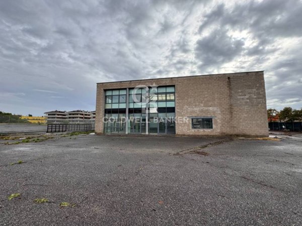 negozio in affitto a Pomezia