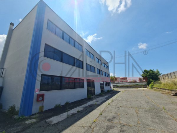 casa indipendente in affitto a Pomezia