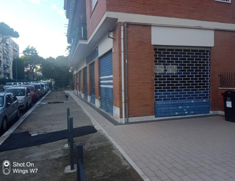 negozio in affitto a Pomezia