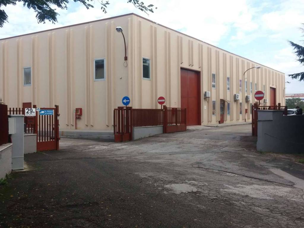 locale commerciale in affitto a Pomezia