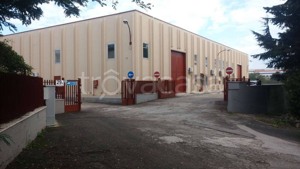 locale commerciale in affitto a Pomezia