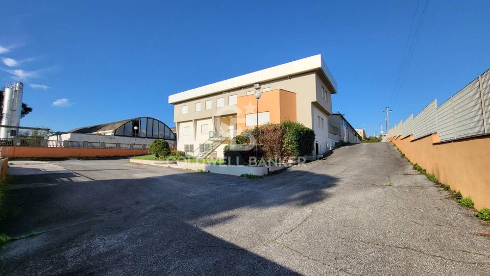 capannone in affitto a Pomezia