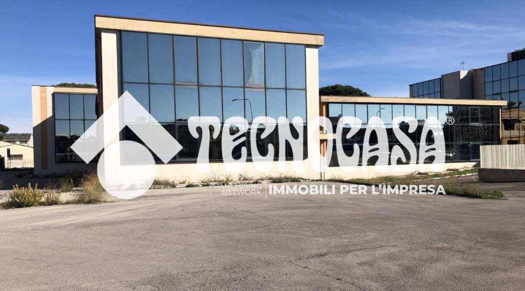 negozio in affitto a Pomezia
