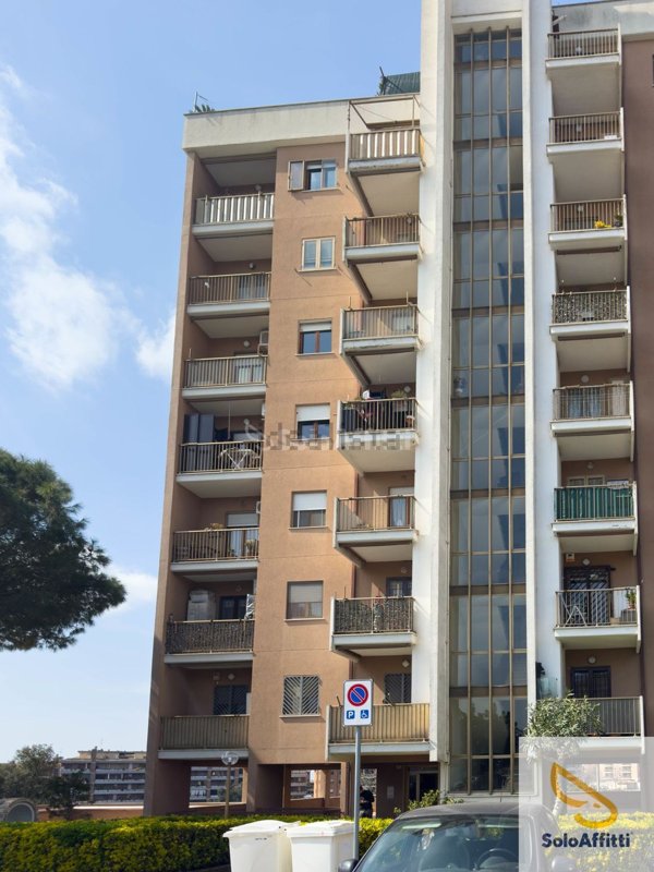 appartamento in affitto a Pomezia