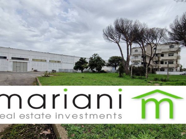 capannone in affitto a Pomezia