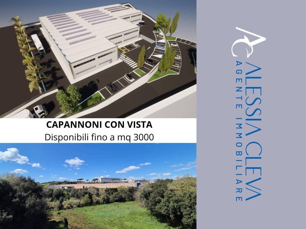 locale commerciale in affitto a Pomezia