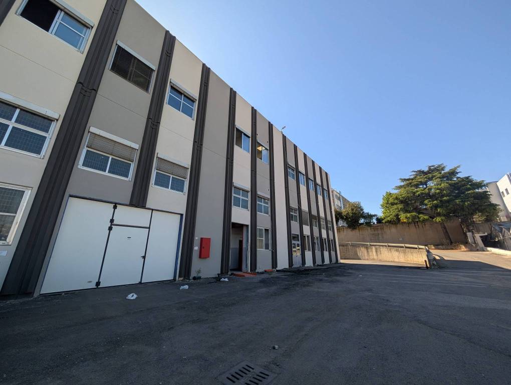 appartamento in affitto a Pomezia