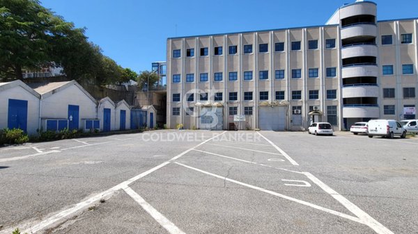 locale di sgombero in affitto a Pomezia