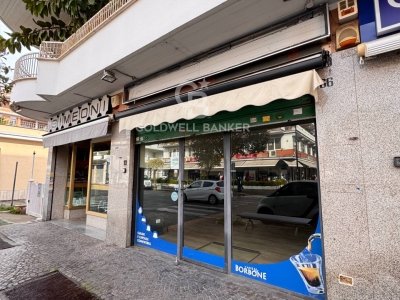 negozio in affitto a Pomezia
