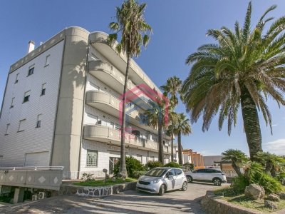 negozio in affitto a Pomezia