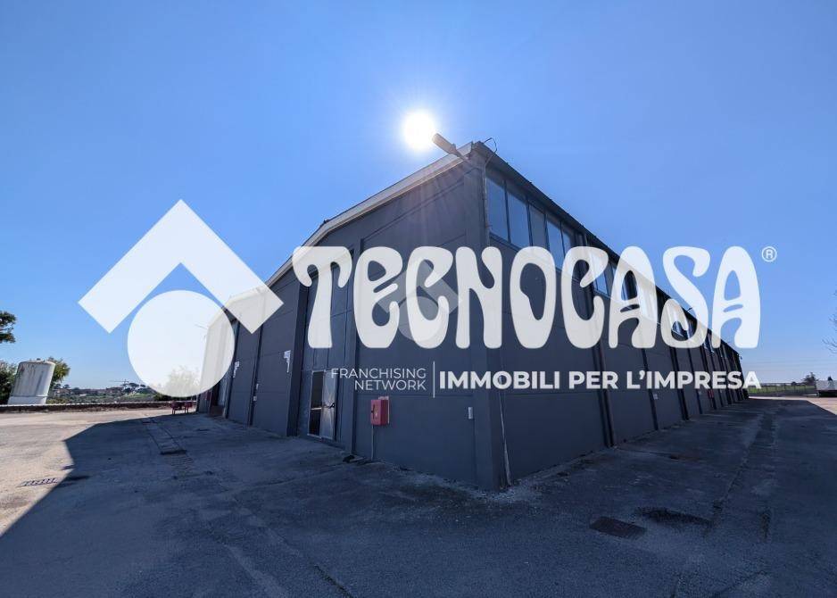 locale commerciale in affitto a Pomezia