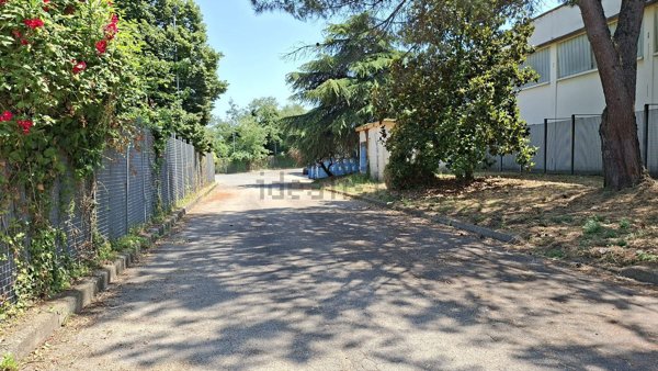 capannone in affitto a Pomezia