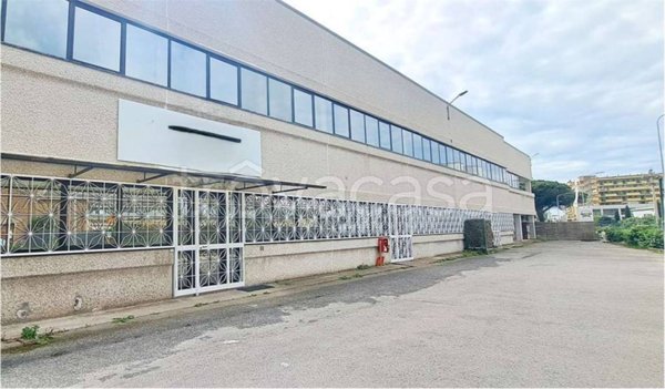 ufficio in affitto a Pomezia