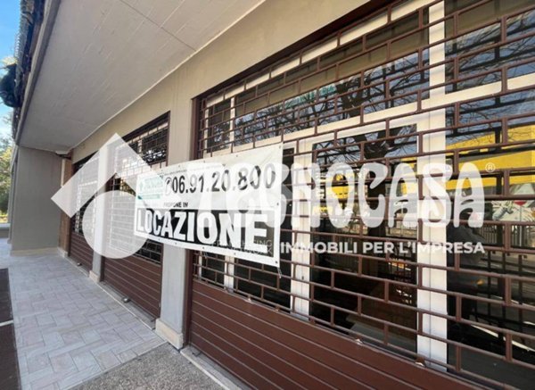 negozio in affitto a Pomezia