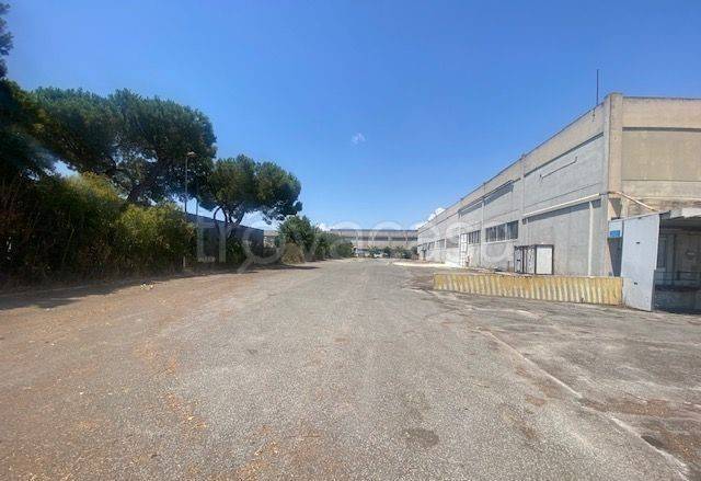 capannone in affitto a Pomezia
