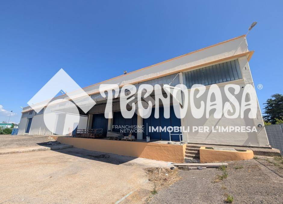 immagine annuncio 0 di 15