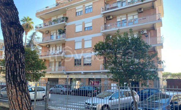 negozio in affitto a Pomezia