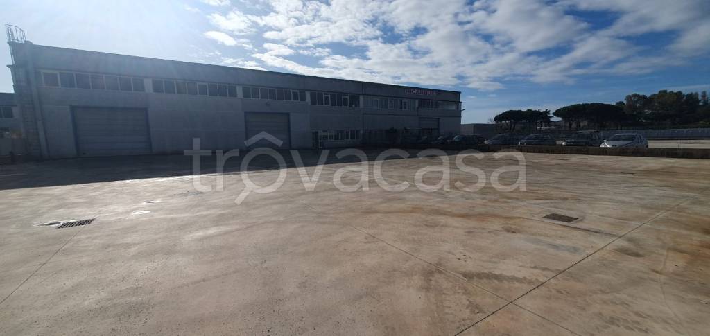 capannone in affitto a Pomezia