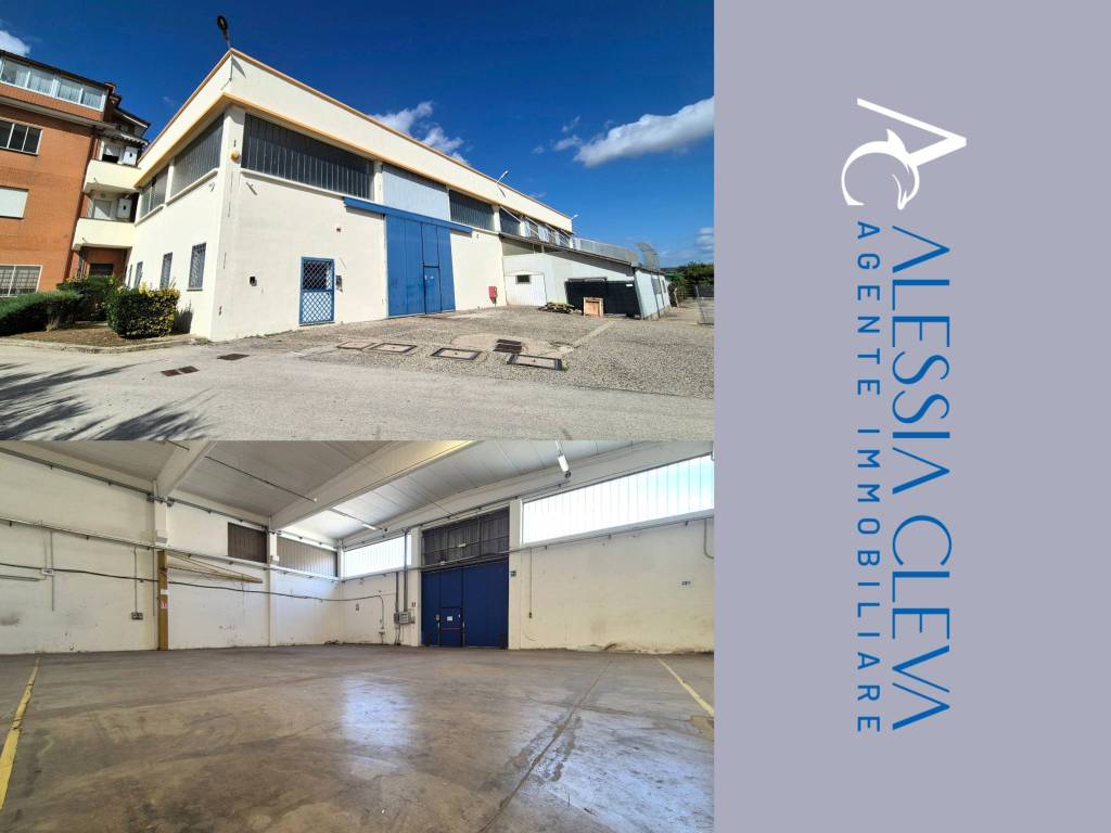 locale commerciale in affitto a Pomezia