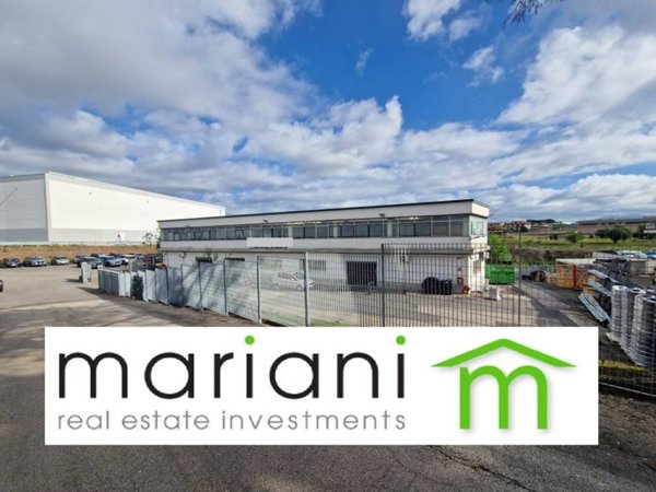 negozio in affitto a Pomezia