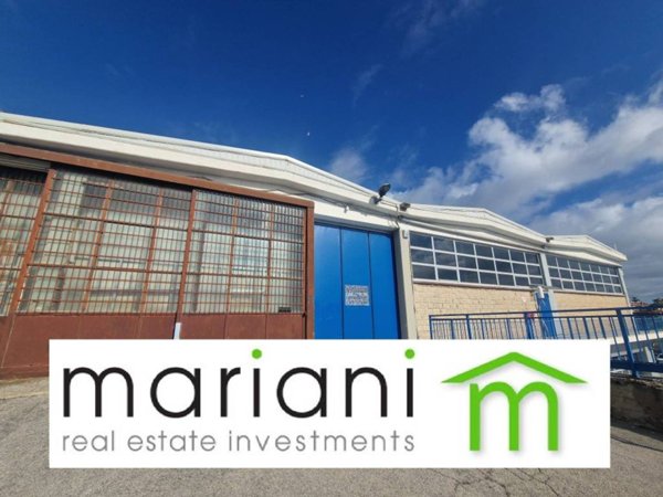 negozio in affitto a Pomezia