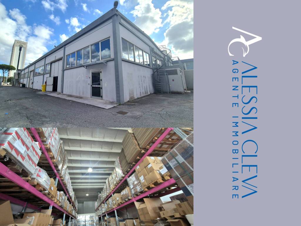 locale commerciale in affitto a Pomezia