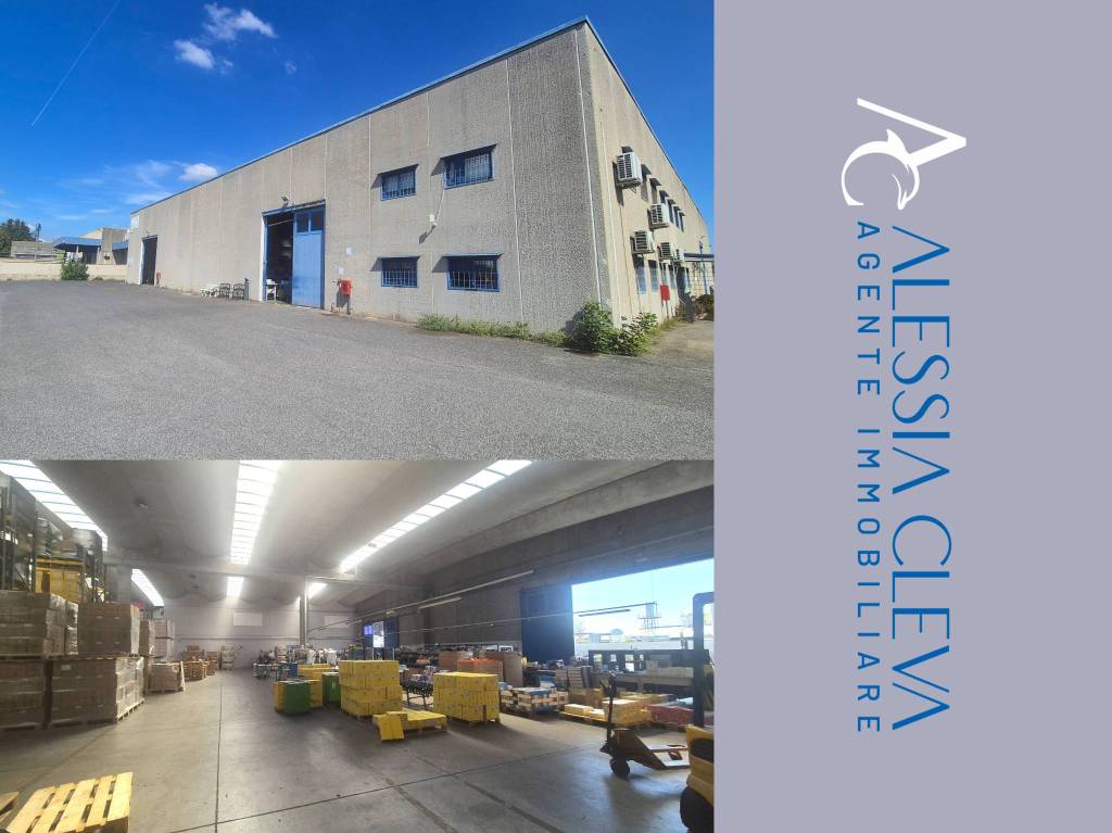 capannone in affitto a Pomezia