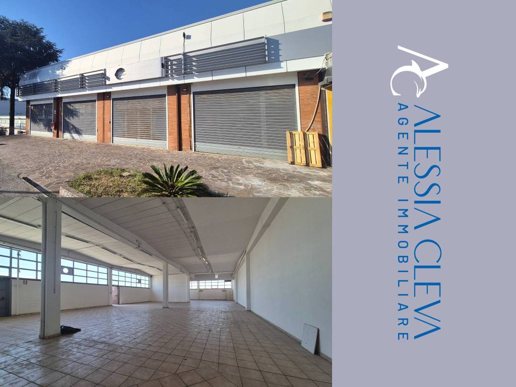 negozio in affitto a Pomezia