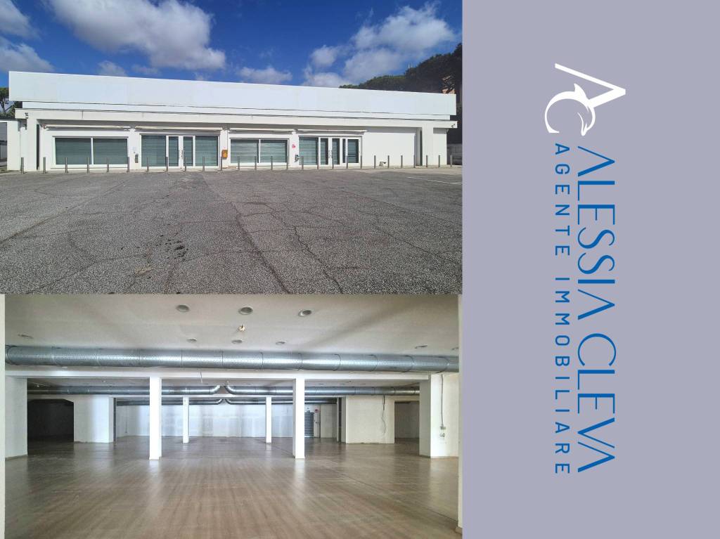 negozio in affitto a Pomezia