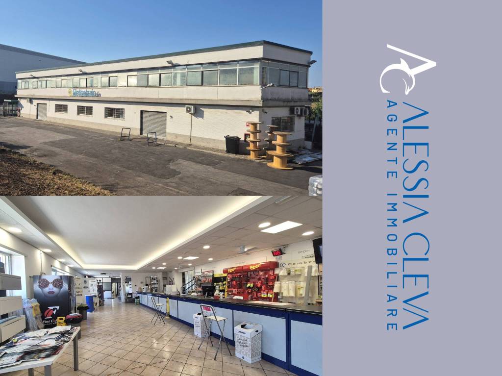 locale commerciale in affitto a Pomezia