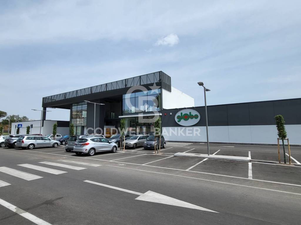 negozio in affitto a Pomezia